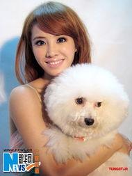 蔡依林搞笑的歌曲,笑料横飞，欢乐无限！  第2张