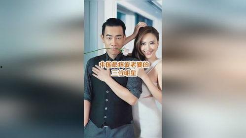 三的明星媳妇,明星媳妇的甜蜜人生  第3张