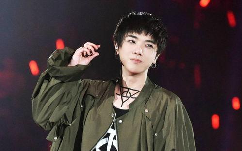 娱乐圈吧  华晨宇,音乐梦想的燃烧者，娱乐圈的璀璨星辰