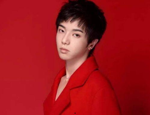 娱乐圈吧  华晨宇,音乐梦想的燃烧者，娱乐圈的璀璨星辰 第2张