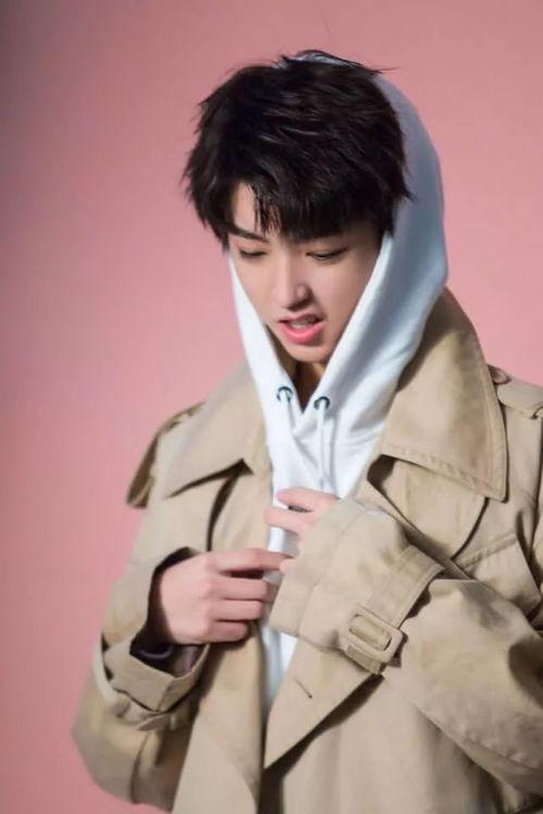 王俊凯照片最新,青春气息扑面而来 第2张 王俊凯照片最新,青春气息扑面而来 第2张