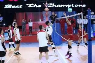 娱乐新闻掩盖奥运  第3张