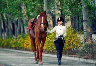 女主播骑马玩球视频下载