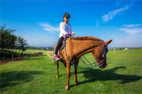 女主播骑马玩球视频下载  第2张