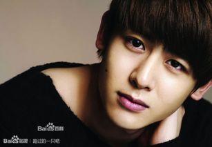 在娱乐圈的明星们,娱乐圈明星们的璀璨人生与辉煌事业  第3张