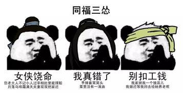 帅到没朋友 表情包,诠释现代网络文化的魅力  第3张