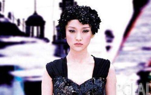 大明星,璀璨星途，闪耀人生  第2张