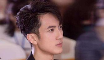 背景强大的有哪些明星,揭秘那些出身名门的璀璨明星  第2张